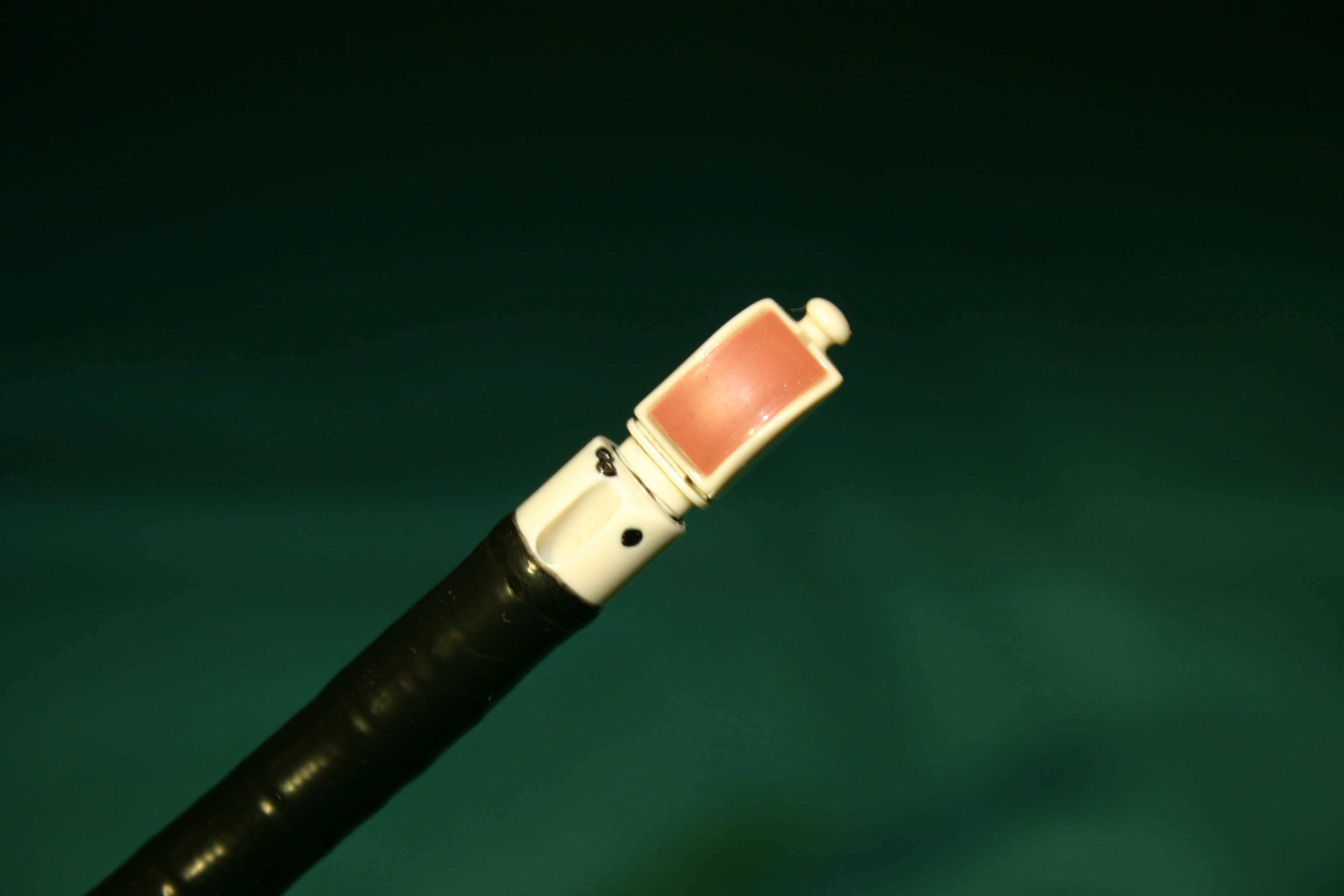 Echo Bronchoscope